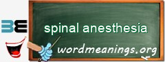 WordMeaning blackboard for spinal anesthesia